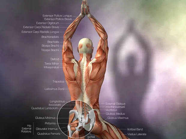 Aliviar Skin Care and Massage