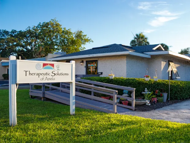 Therapeutic Solutions of Amelia