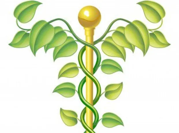 business image