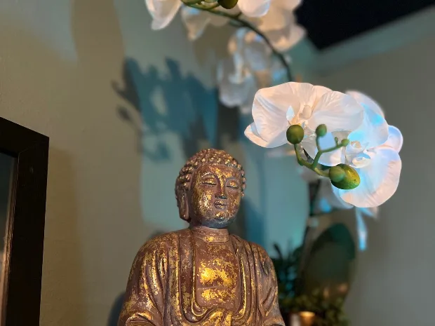 White Orchid West Massage