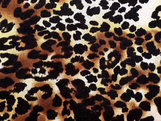 Wildcat Massage & Bodywork