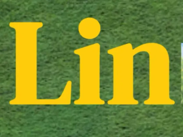 Lin Reflexology