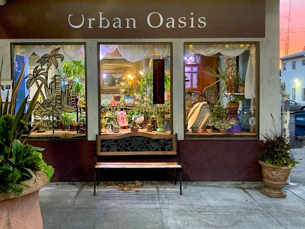 Urban Oasis