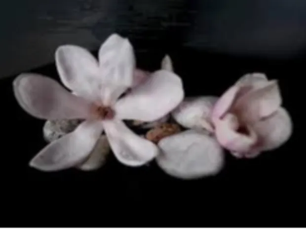 Mystic Magnolia Massage - New London Location