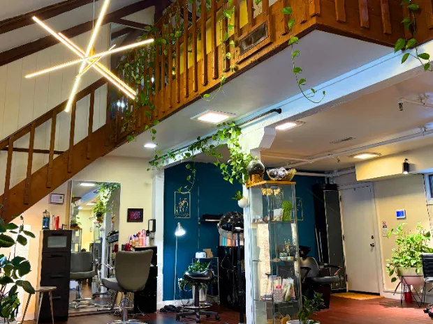 Living Light Wellness LLC