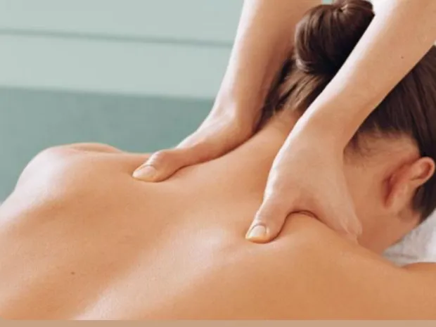 Blue Rose Massage by Liz LLC