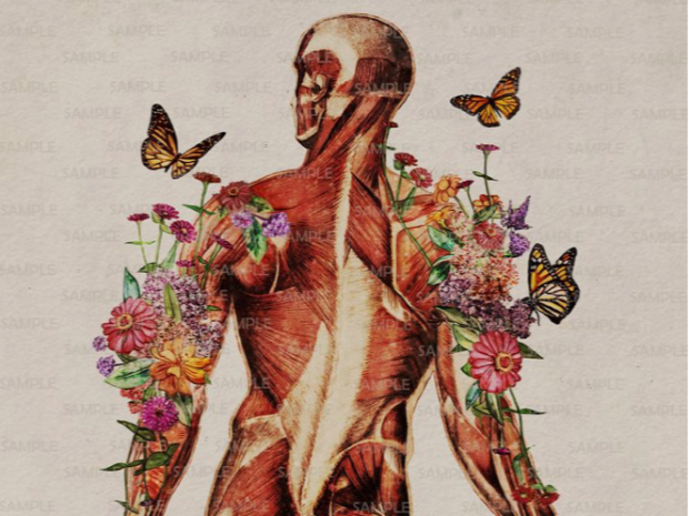 Book a massage with Asebe Simply Massage Therapy | Dallas TX 75244