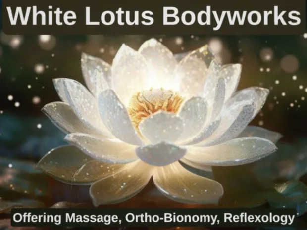 White Lotus Bodyworks