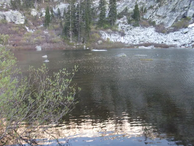 Massage Therapy by Libby Roeder