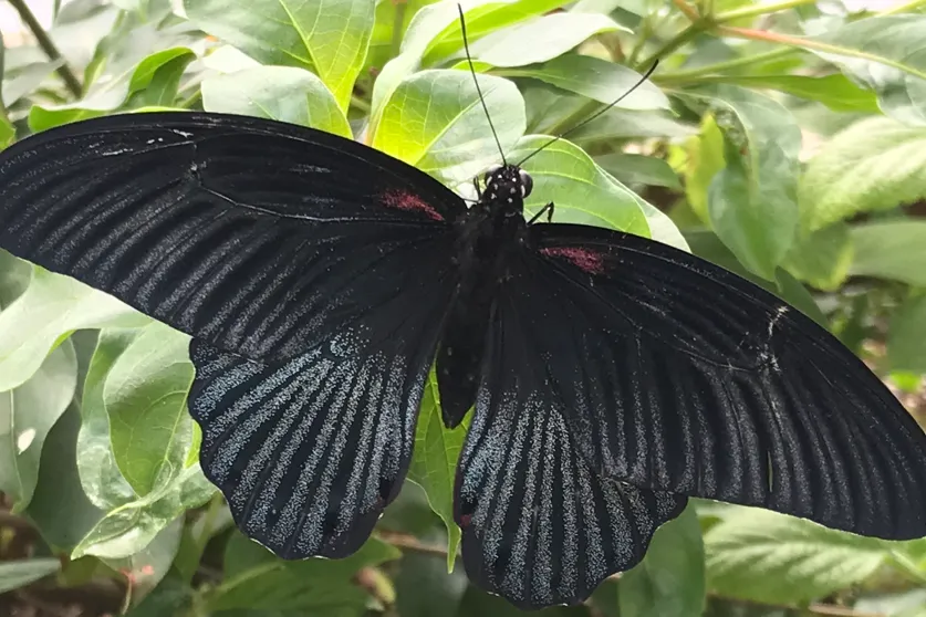 Book a massage with Test Business Lawrence MA 01843