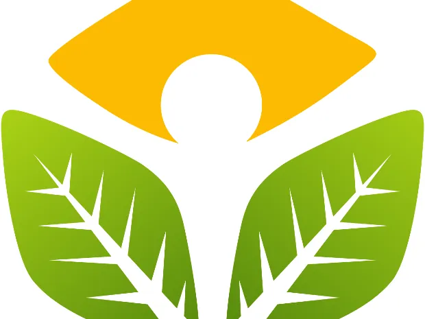 Therapeutic Touch Massage