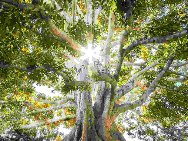 Healing Elements Therapeutic Massage 