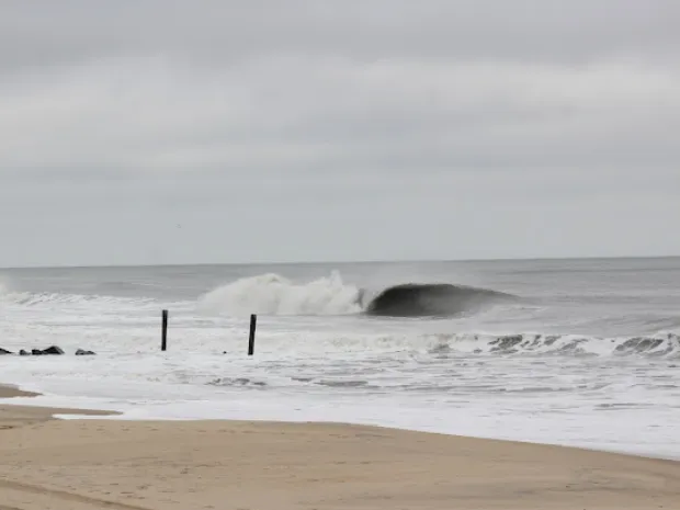 Weathered Pelican Massage + Bodywork